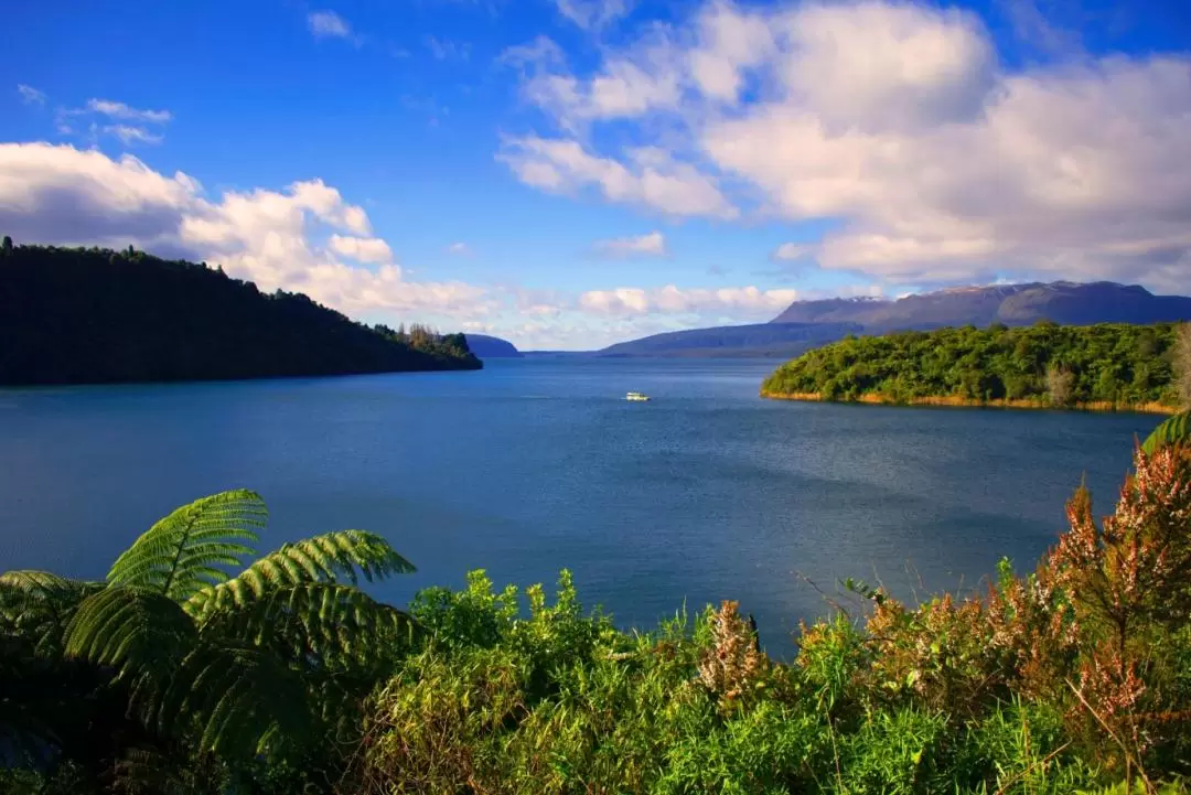 Rotorua Duck City and Lakes Tour