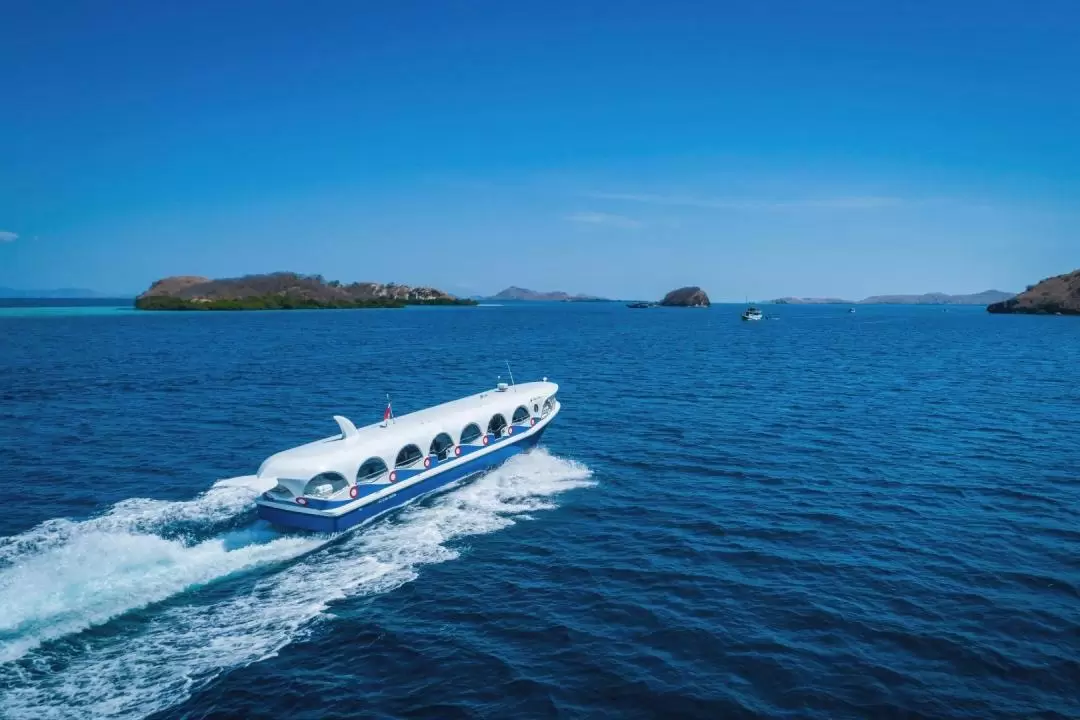 Glass Bottom Boat Sightseeing Tour Operated by AYANA