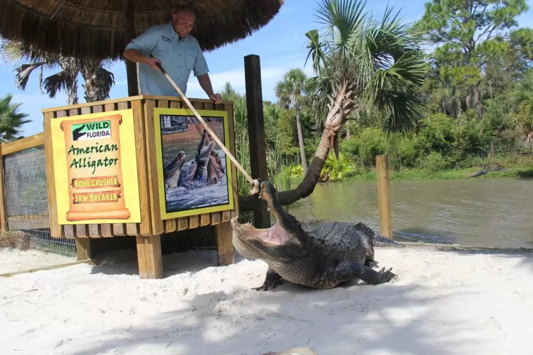 佛羅里達州Wild Florida野生動物園門票