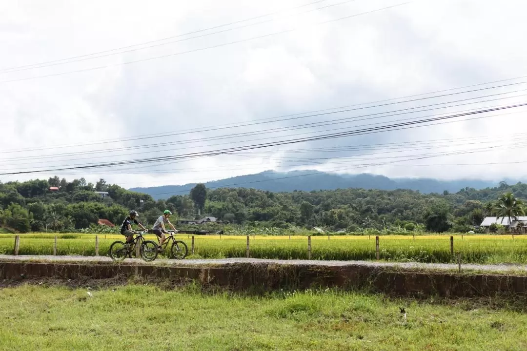 Chiang Mai Biking Day Tour by Trailhead