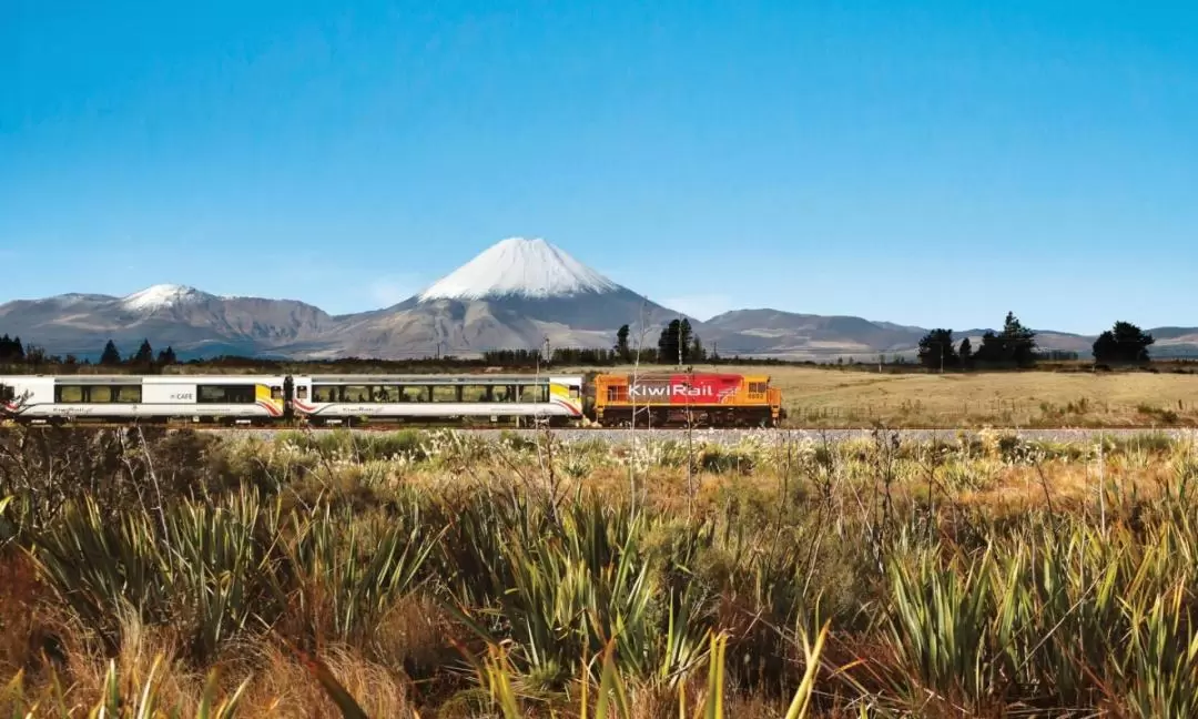 Northern Explorer Train Ticket between Auckland and Wellington