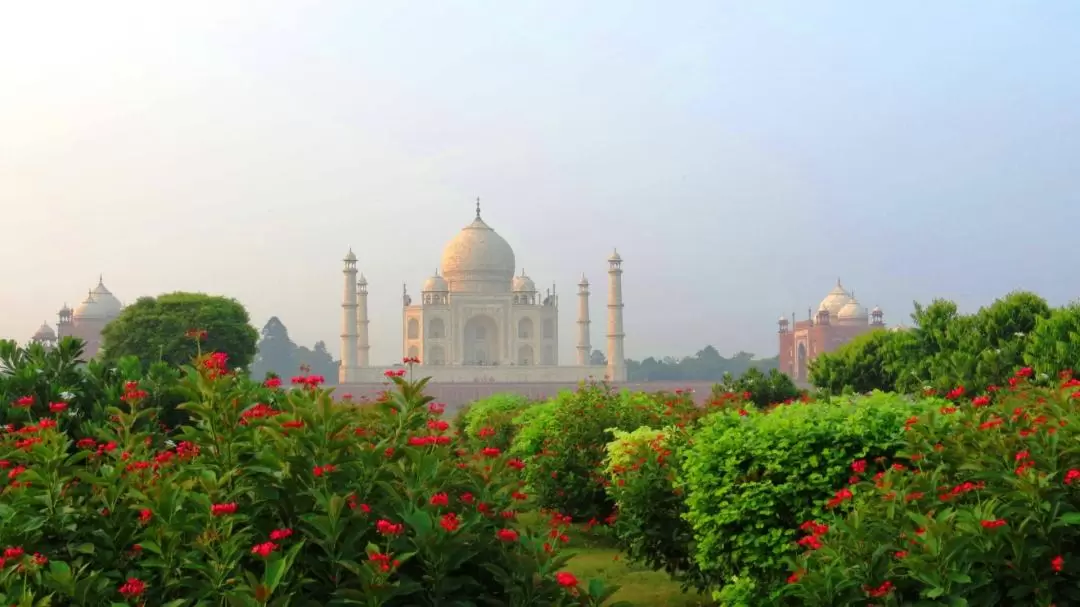 2D Delhi and Agra Combo Private Tour