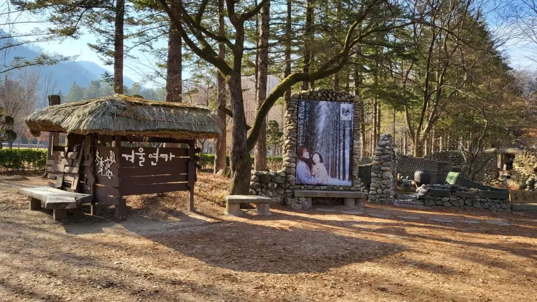 草泥馬樂園＆南怡島10小時私人一日遊