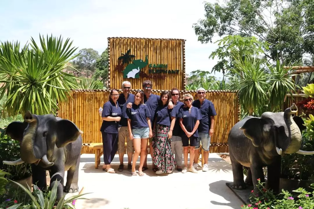 Half Day Caring Elephant in Samui