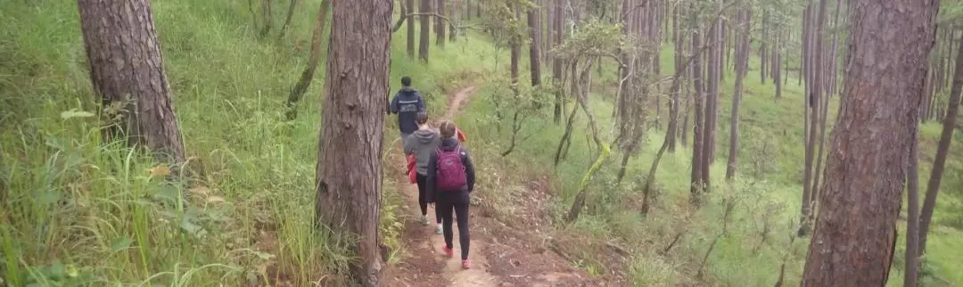 大叻健行＆獨木舟體驗