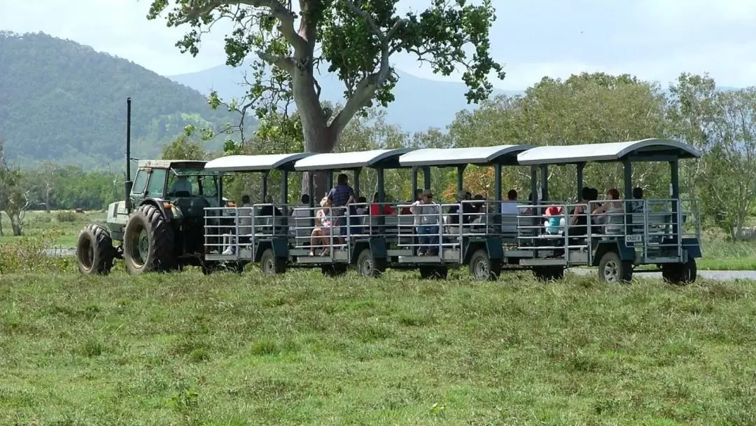 Whitsunday Crocodile Safari Full-Day Cruise from Hamilton Island