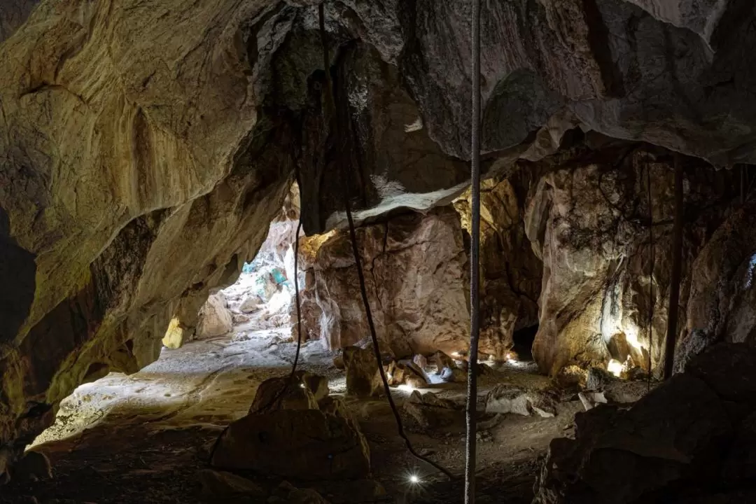 摩羯洞大教堂洞穴（Cathedral Cave）探索之旅