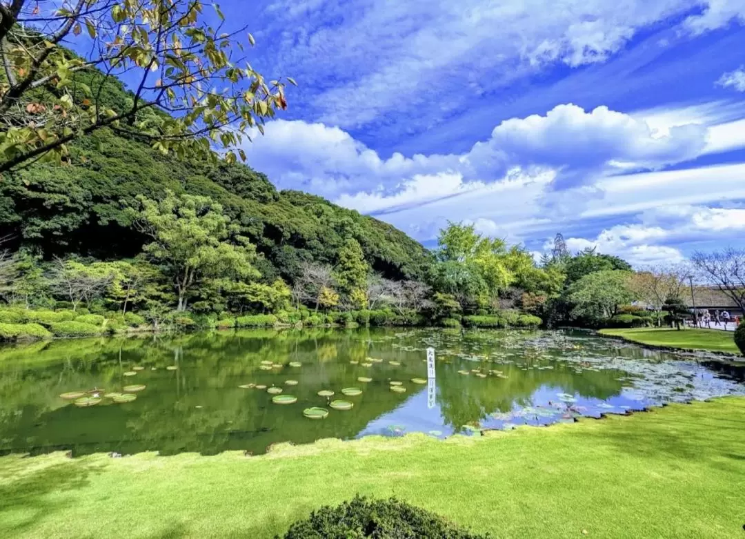 【九州私人一日遊】九州福岡 別府 大分 湯布院 行程自由搭配 包車遊