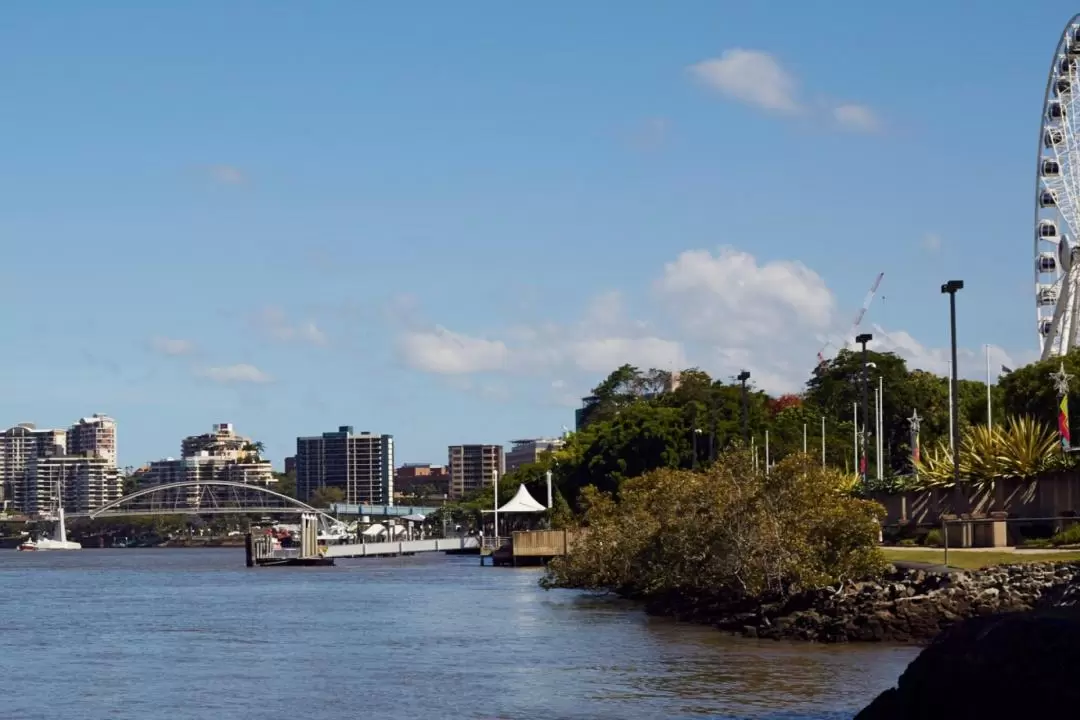 Brisbane River Cruise with Lone Pine Koala Sanctuary Admission