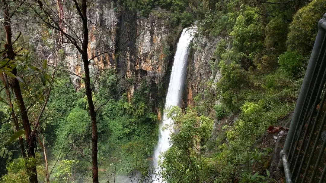 Natural Bridge and Springbrook Waterfalls Tour from Gold Coast