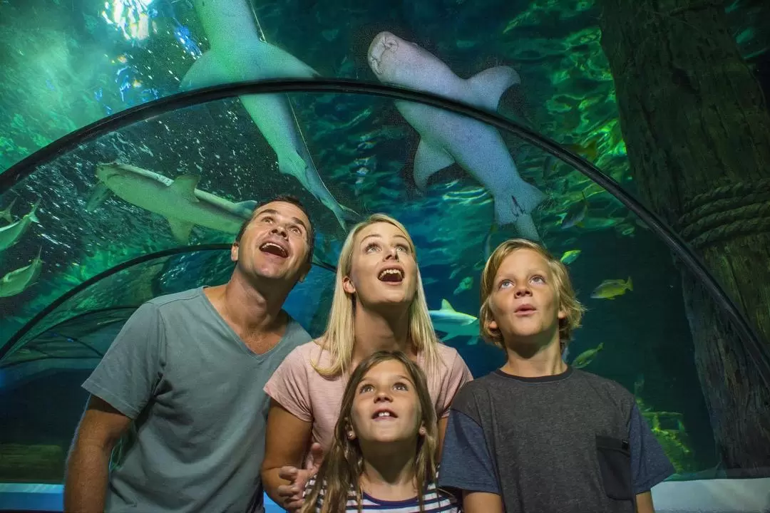 陽光海岸 SEA LIFE 水族館門票