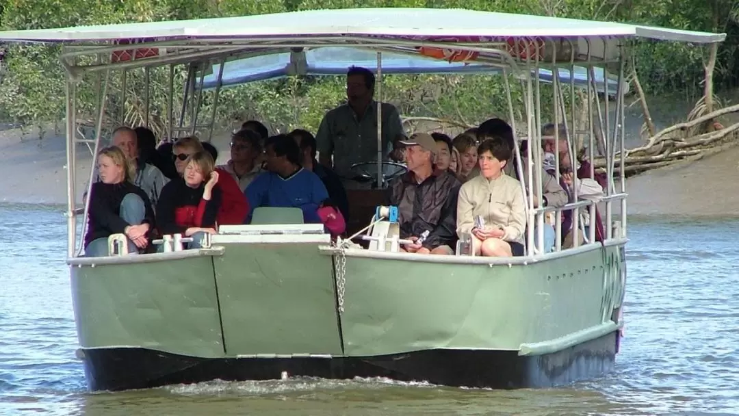 Whitsunday Crocodile Safari Full-Day Cruise from Hamilton Island