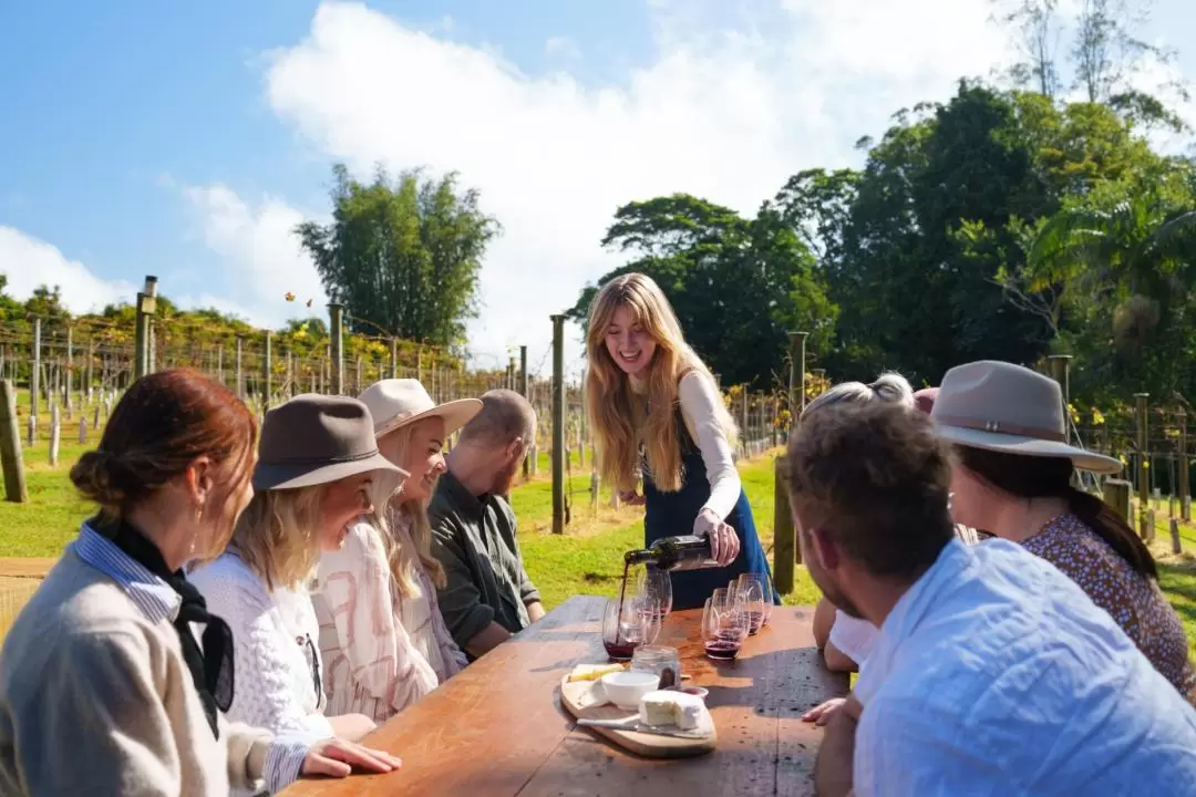 Tamborine Mountain Winery Day Tour from Gold Coast