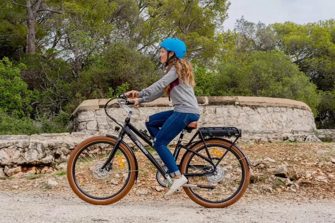 ニース 自転車・電動自転車レンタル