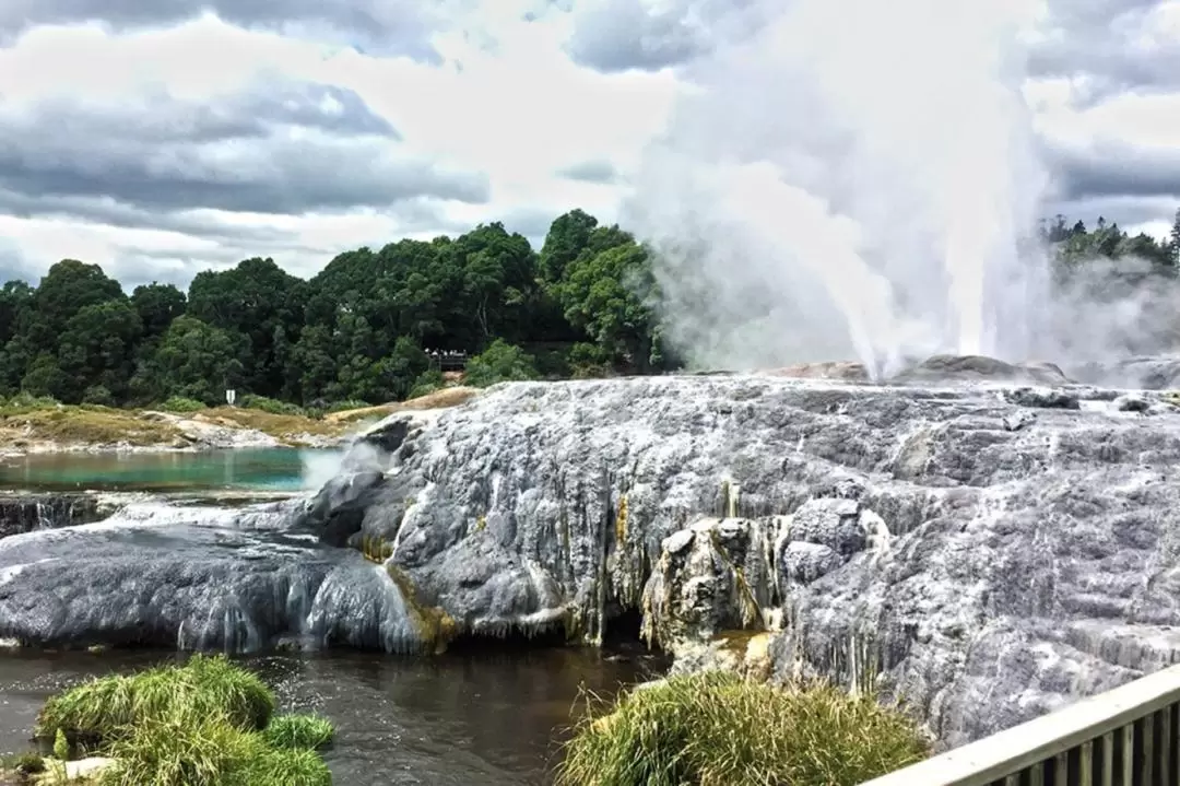 Waitomo and Rotorua Day Tour from Auckland with Te Puia