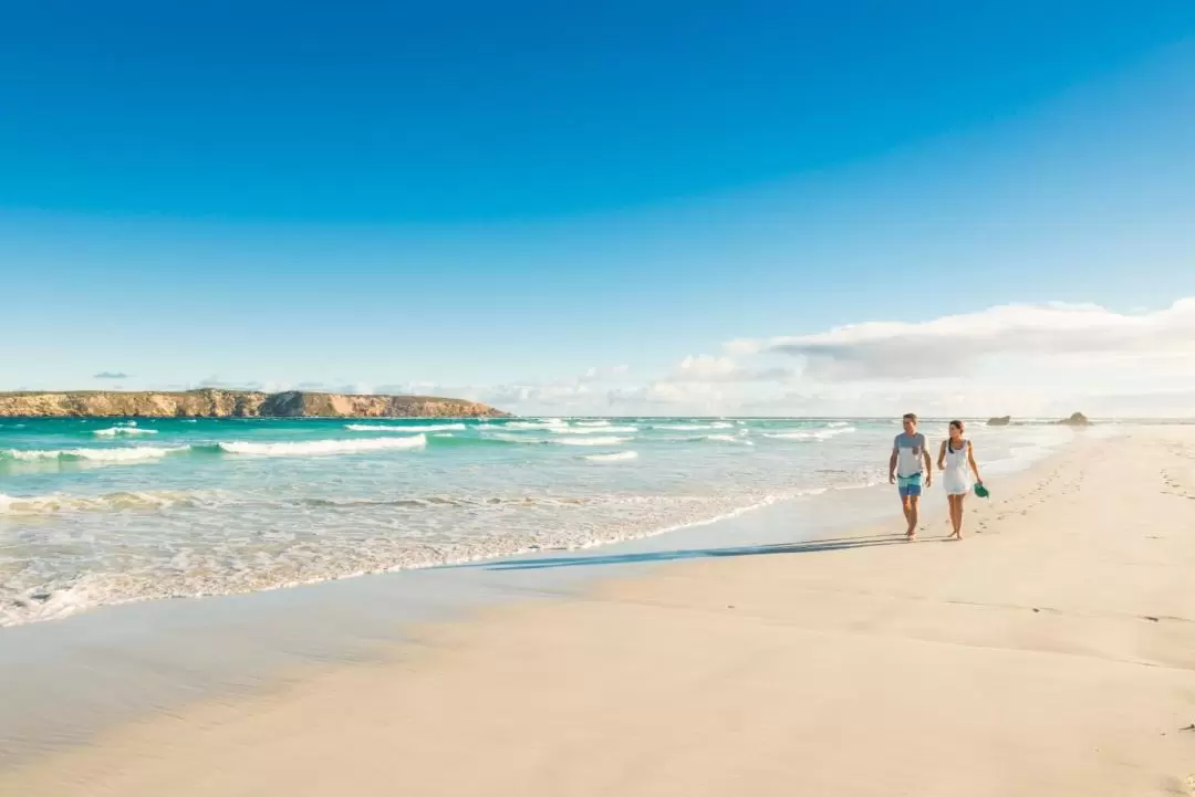 Coffin Bay with Fabulous Oyster Lease Tour from Port Lincoln