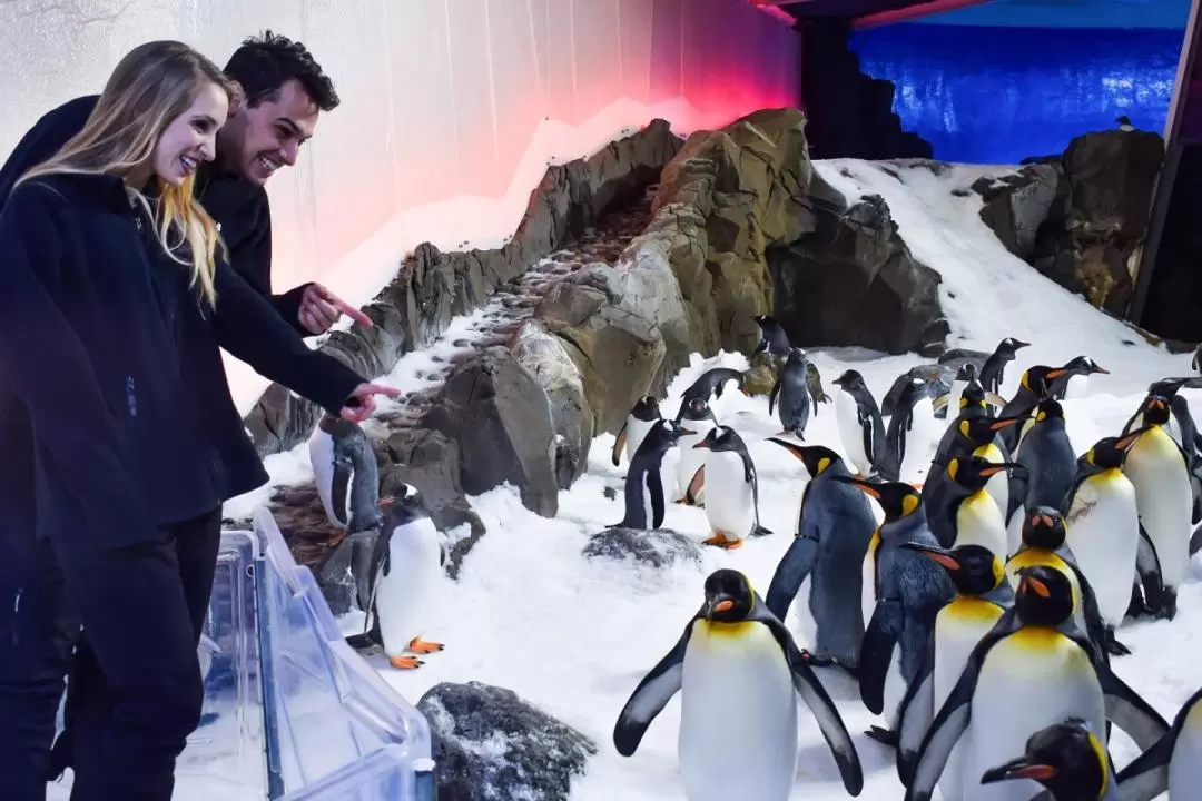 墨爾本海洋生物水族館「企鵝王國之旅」護照