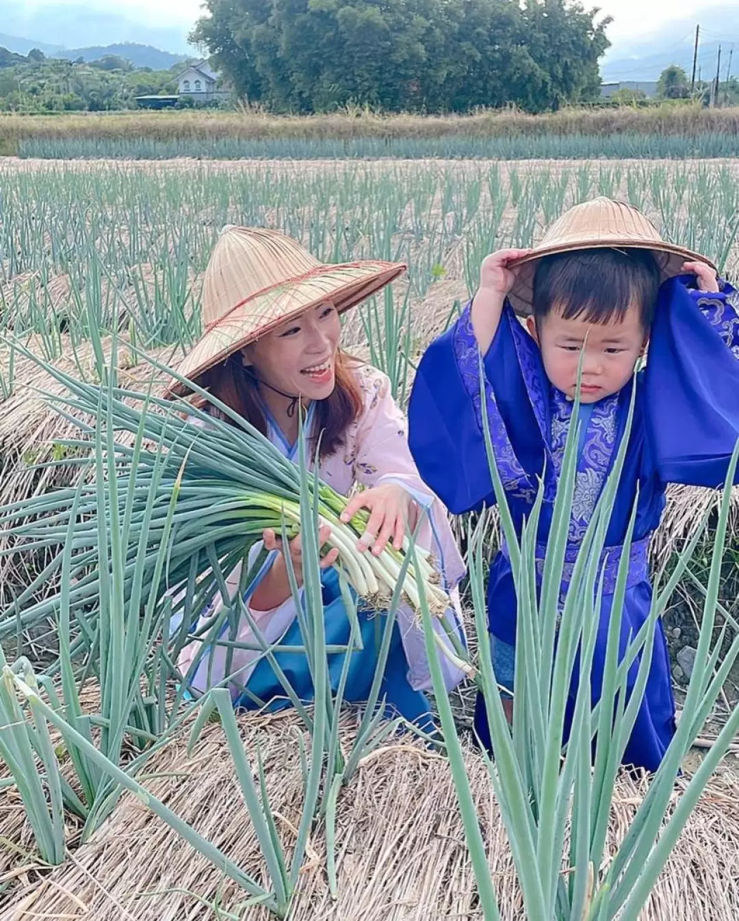 Yilan: Farmer Green Onion Experience Farm - Three Star Green Onion Experience Half-Day Tour