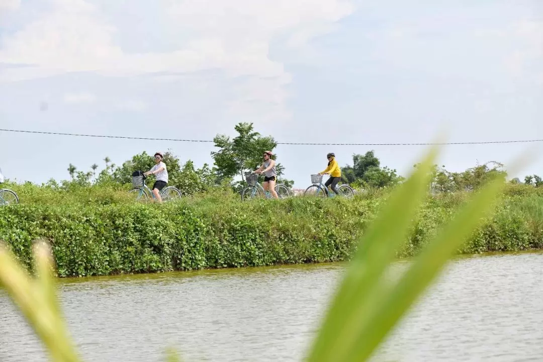 Coconut Forest Tour by Bicycle and Basket Boat in Hoi An