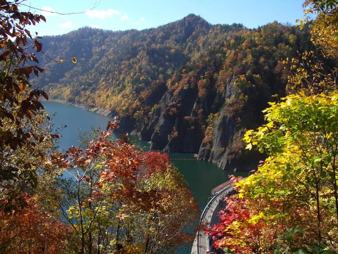 Houheikyou & Fukidashi park Autumn Maple One Day Tour from Sapporo