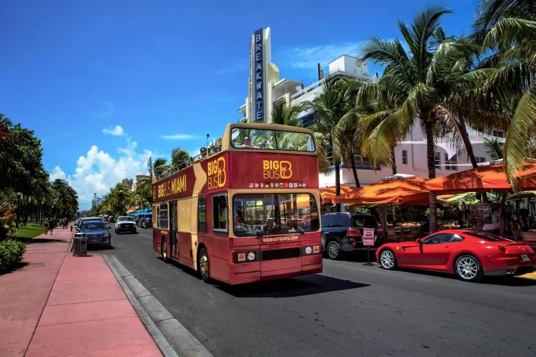 Miami Big Bus Hop-On Hop-Off Tours (Open-Top)