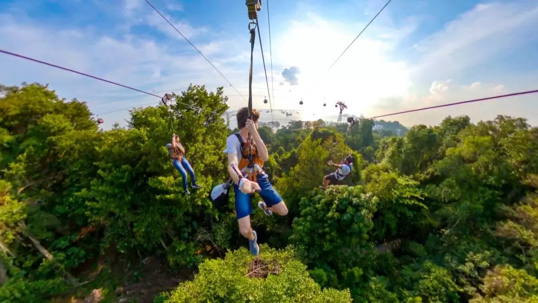 MegaZip at Mega Adventure Park Singapore