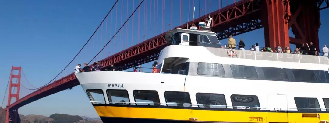 San Francisco Bay Cruise Adventure