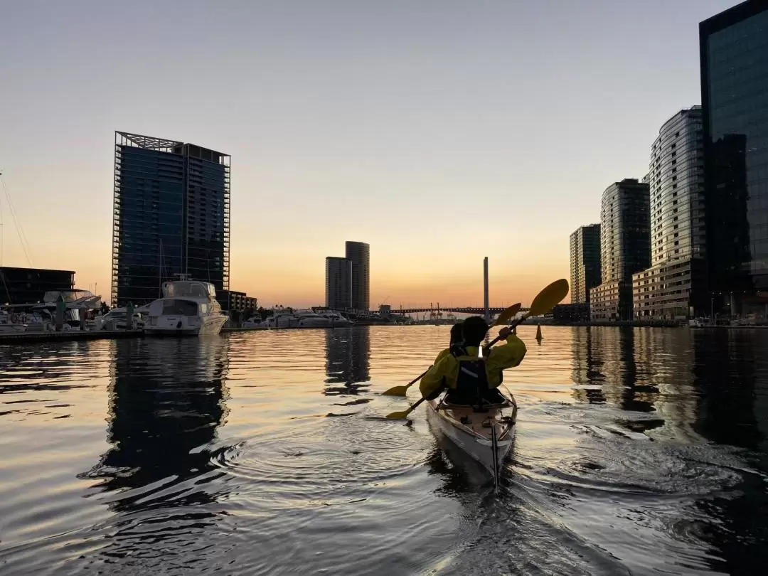 Moonlight City Sightseeing Kayak Experience in Melbourne