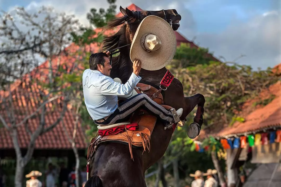 Xcaret Natural Water Park Admission in Playa del Carmen