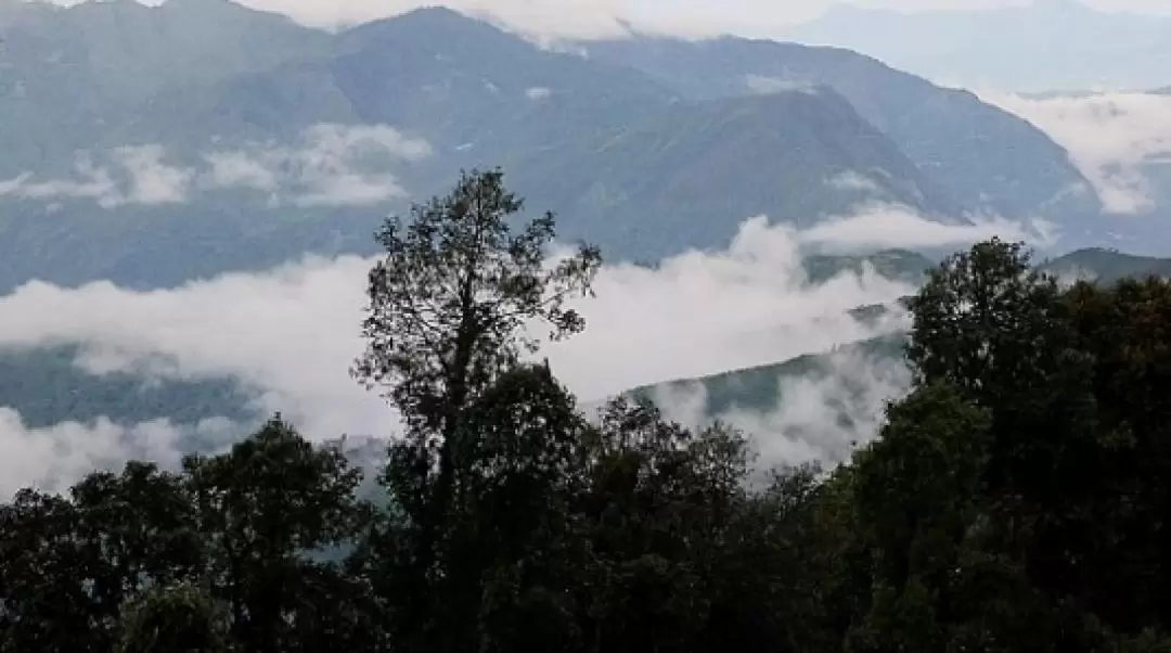 2天1夜 納格蒂巴（Nag Tibba）登山健行之旅（德拉敦出發）