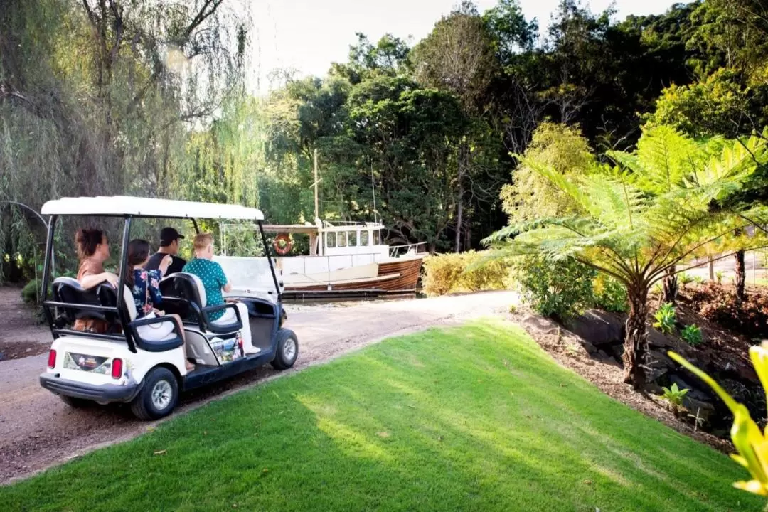 Maleny Botanic Gardens and Bird World Ticket in Sunshine Coast