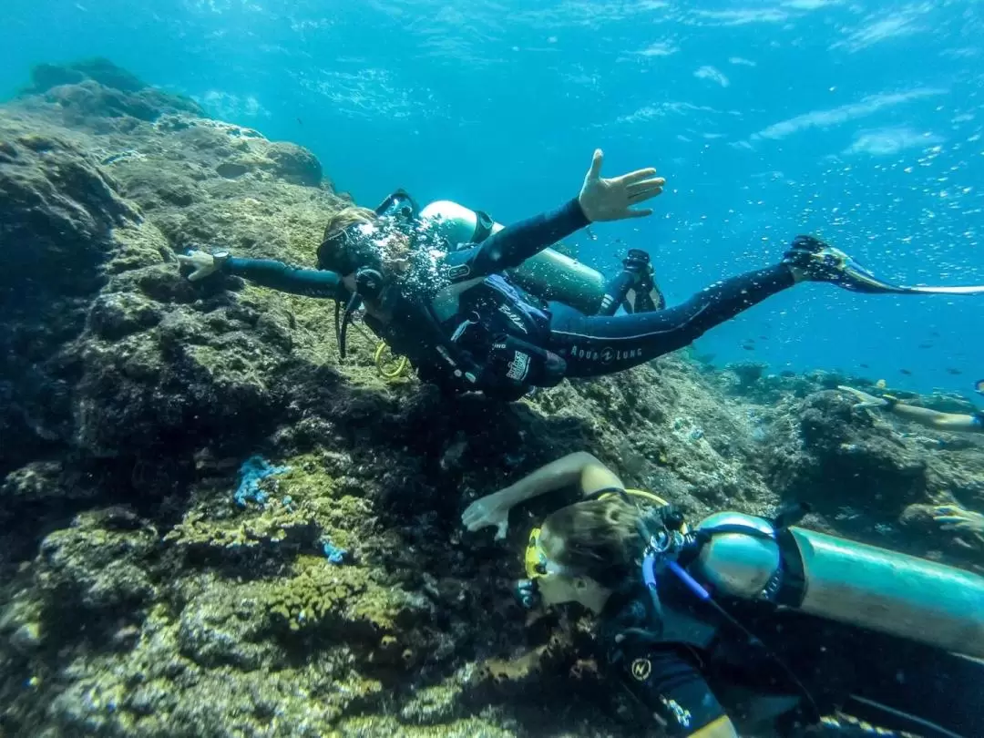 体験ダイビング（バリ / PADI 5 Star Dive Center提供）