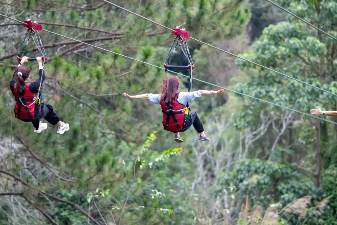 Zipline Experience at Datanla Da Lat