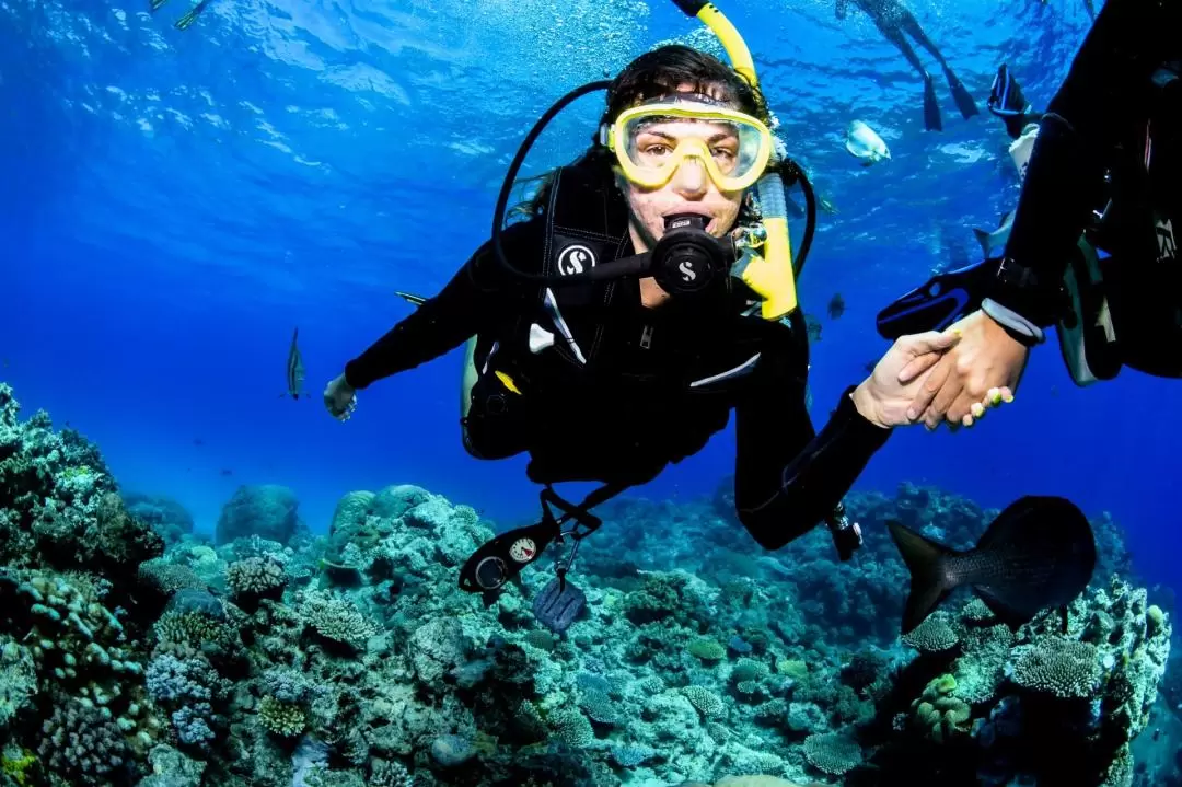 Scuba Diving on Great Barrier Reef from Cairns