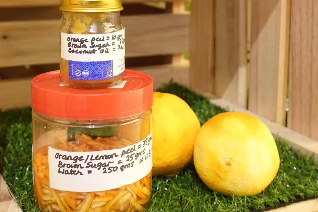 Singapore Orange Peels Upcycling Workshop by The Sustainability Project
