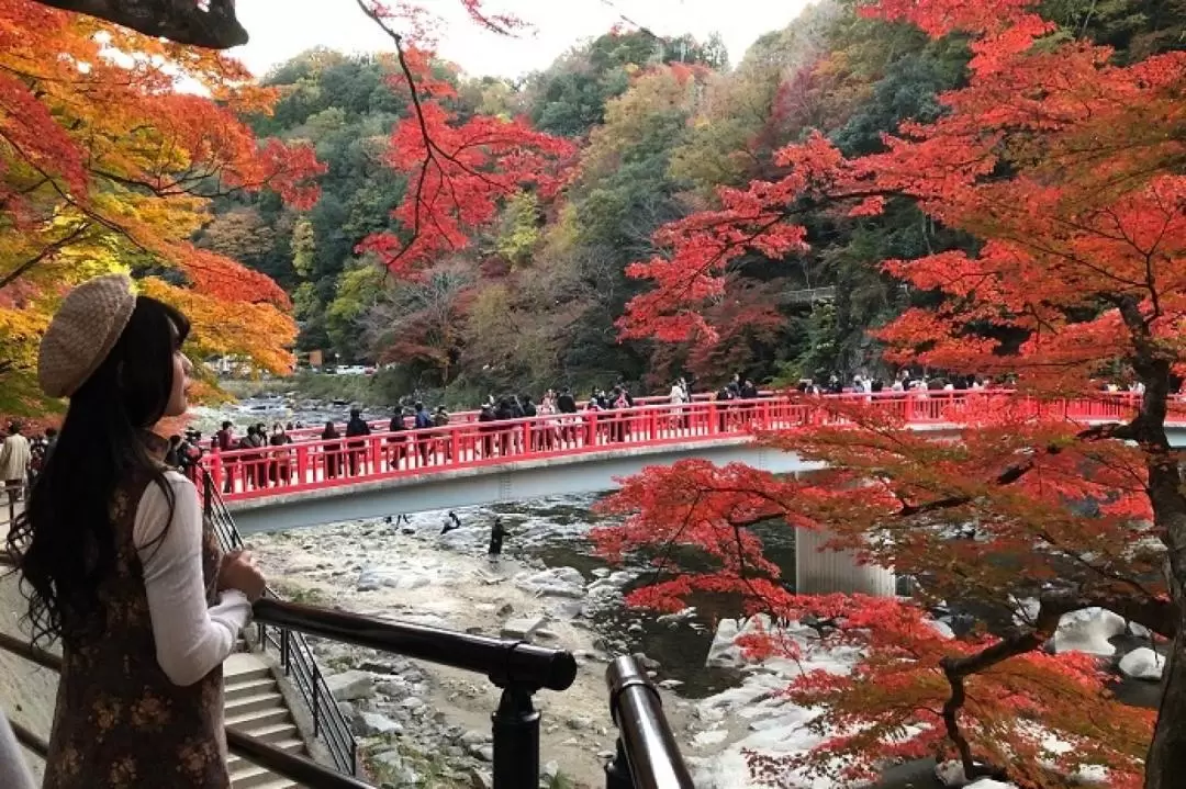 永保寺＆香嵐溪賞楓葉＆四季櫻一日遊（名古屋出發）