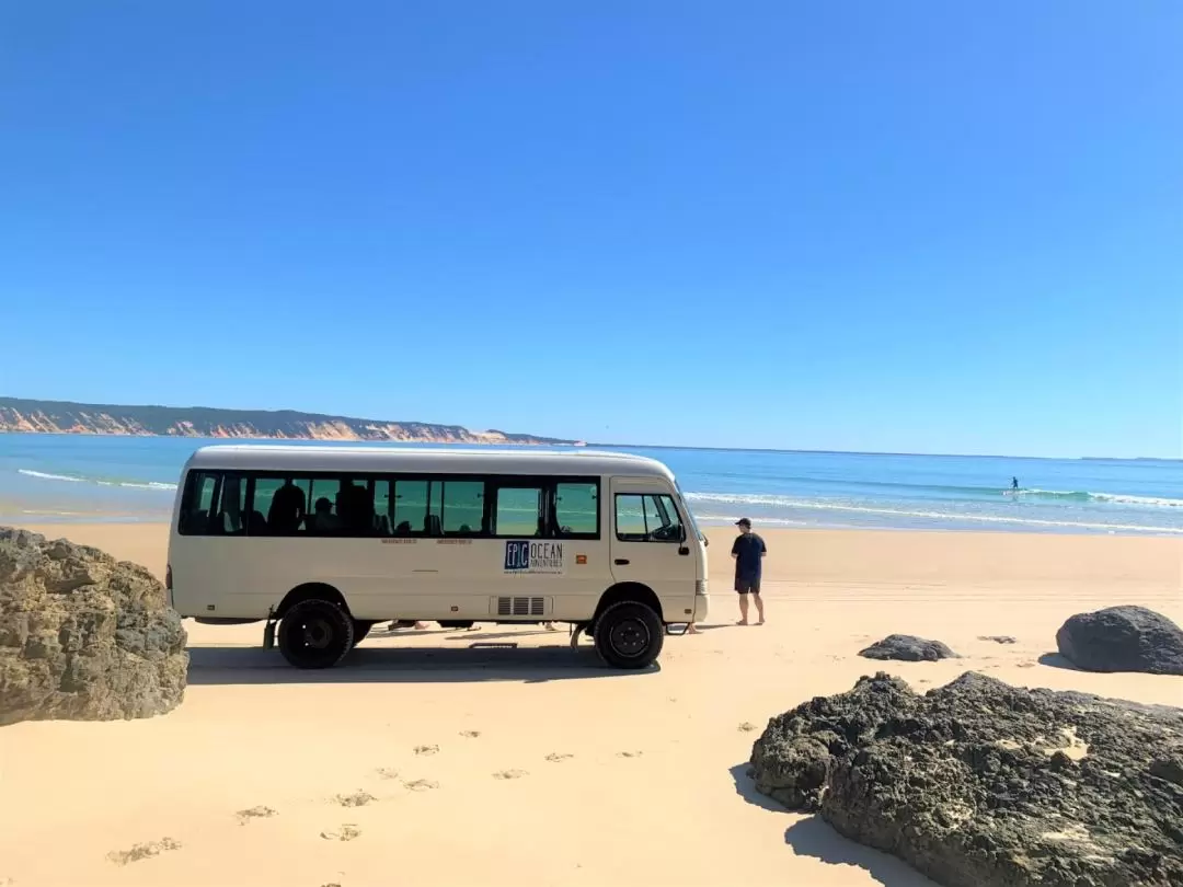 Noosa Dolphin View Kayak Tour & Great Beach Drive Adventure