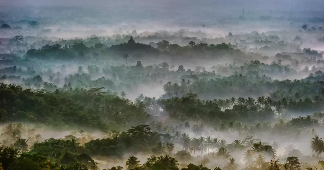 Private Motorcycle Tour to Sunrise Puthuk Stumbu, Gereja Ayam and Borobudur Temple