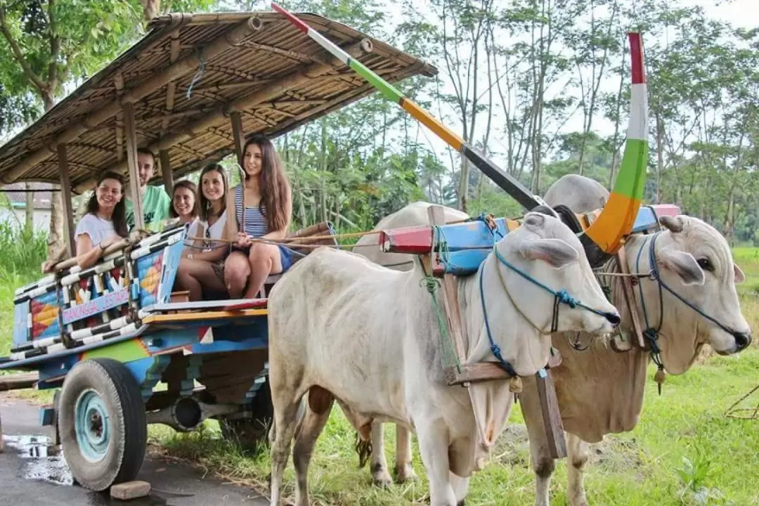 Omah Kecebong Cultural Activities in Yogyakarta