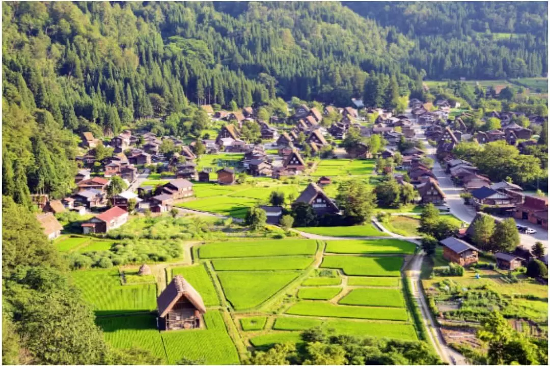 飛騨高山・白川郷 日帰りツアー（岐阜 / 名古屋発）