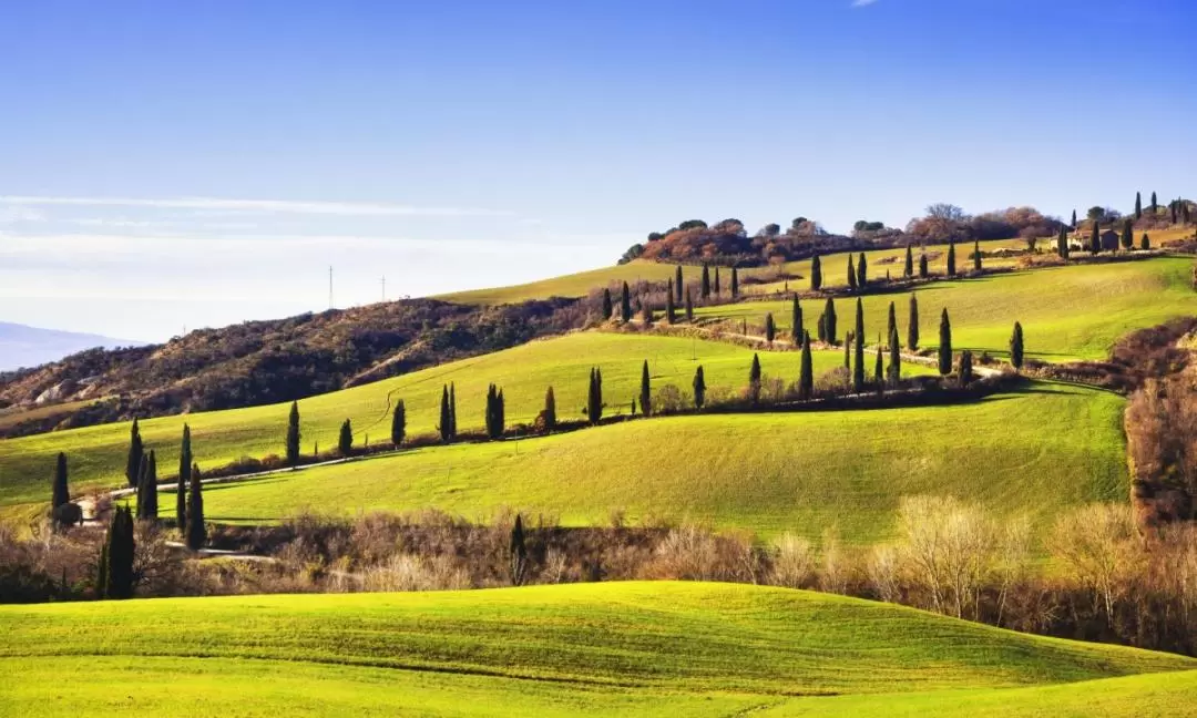 Val d'Orcia Tour from Florence