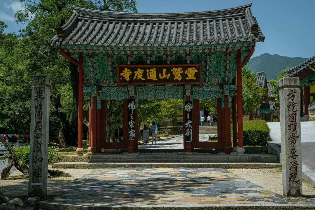 Korean BBQ at Local Jjimjilbang(Spa) & Tongdosa Temple From Busan