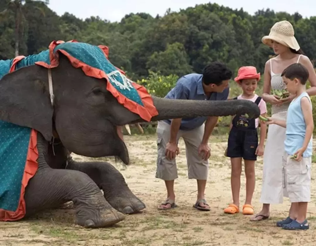 民丹島野生動物園（Safari Lagoi）＆生態農場之旅