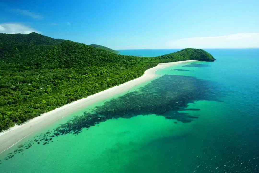 Cape Tribulation, Daintree Rainforest and Mossman Gorge Day Tour from Cairns