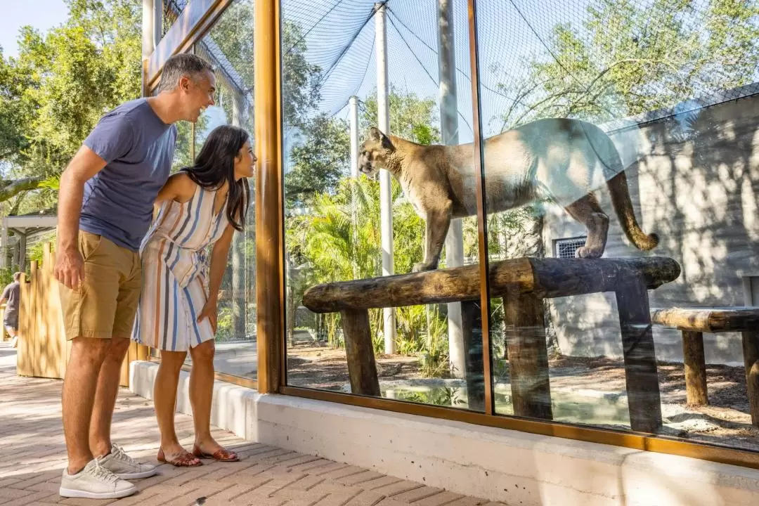 ロウリーパーク動物園・フロリダ水族館 セットチケット（タンパ）