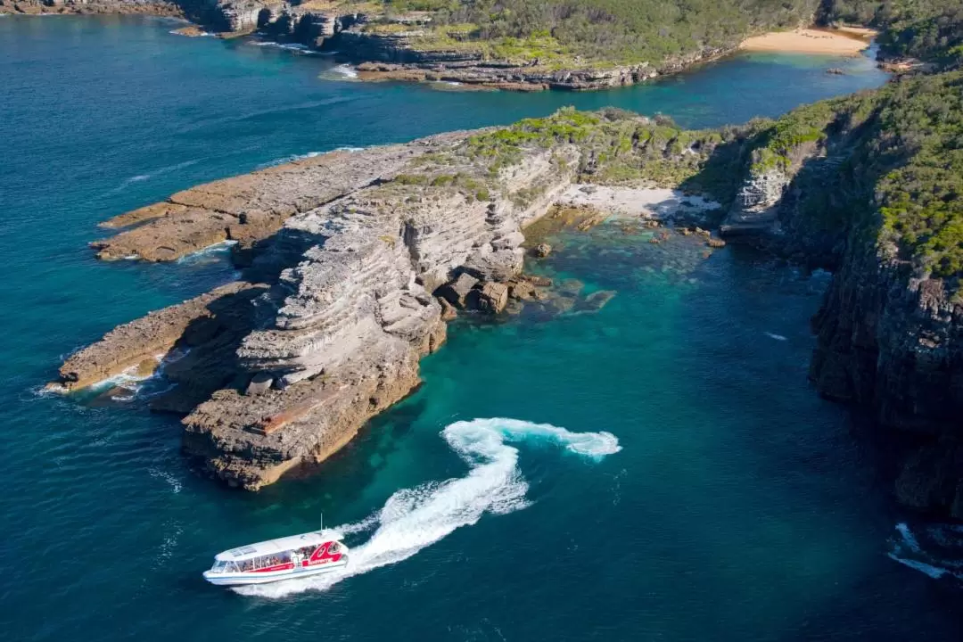 Jervis Bay Scenic Cruise 