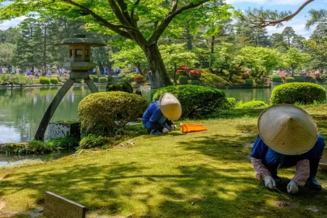 金澤一日遊