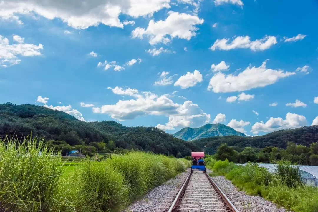 Gangchon Rail Bike Ticket