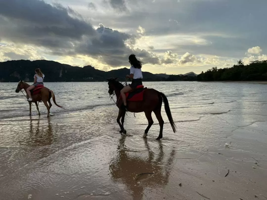  Krabi – Horse riding