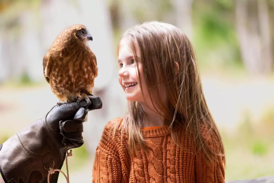 Eagles Heritage Wildlife Centre Ticket in Margaret River